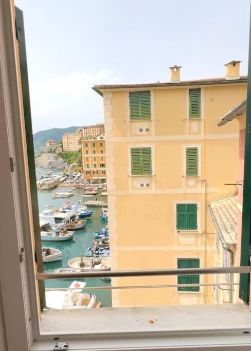 Attico Sul Porticciolo Antico Di Camogli Apartment Ngoại thất bức ảnh