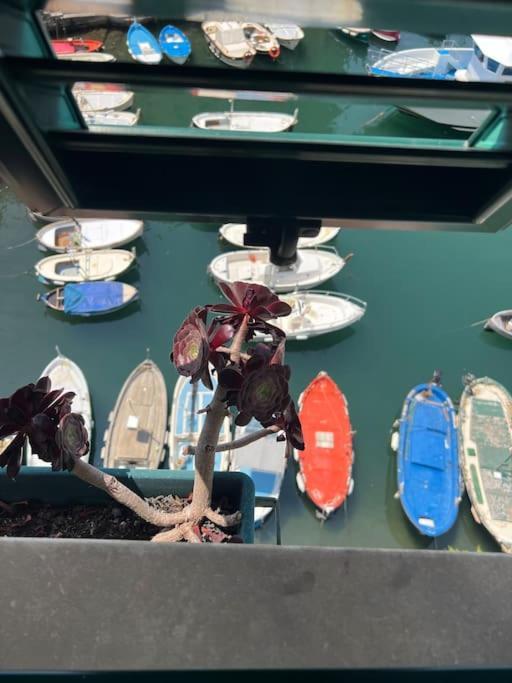Attico Sul Porticciolo Antico Di Camogli Apartment Ngoại thất bức ảnh