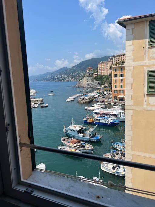 Attico Sul Porticciolo Antico Di Camogli Apartment Ngoại thất bức ảnh